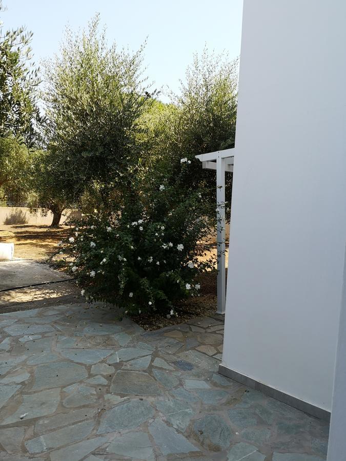 Villa Leonidas มัสติคารี ภายนอก รูปภาพ